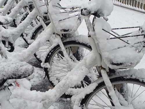 Bicycles covered in snow